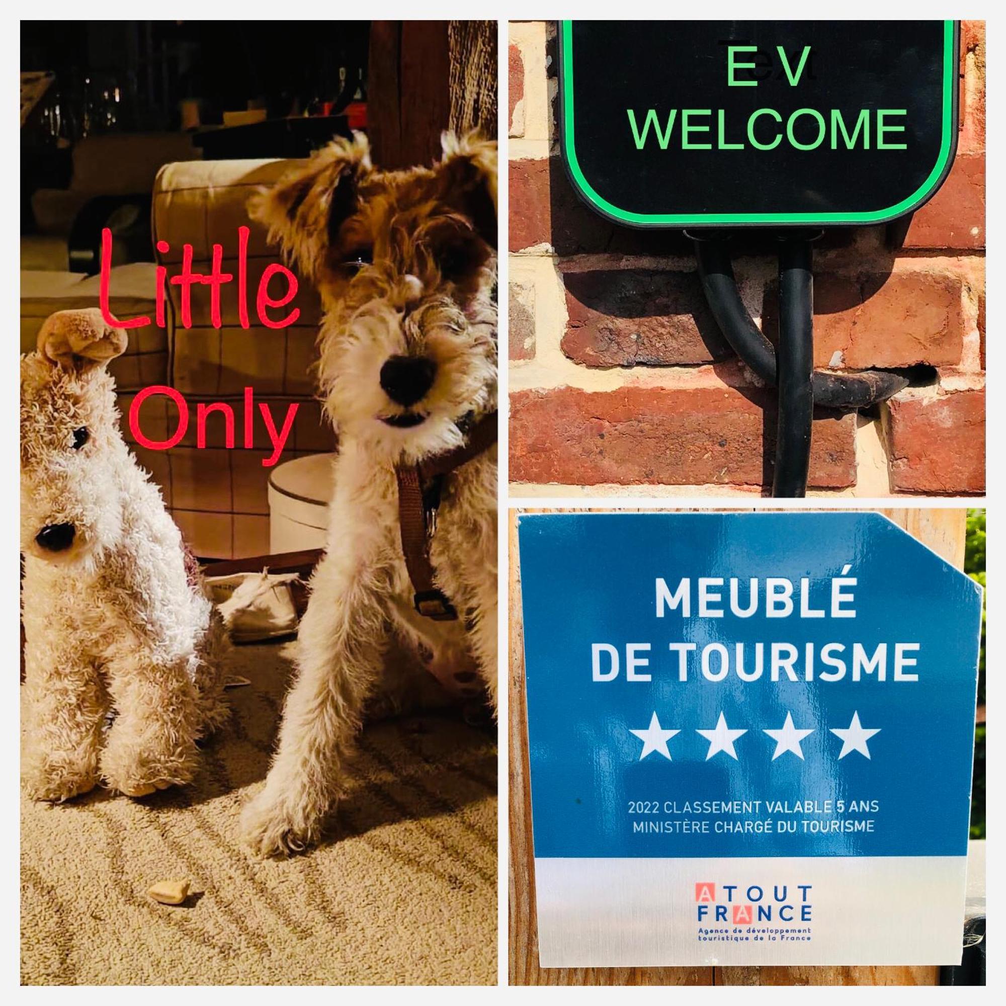 Rouge Cottage Gite 4 Etoiles Billard Gueutteville-les-Gres Экстерьер фото